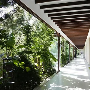 The Lifeco Bodrum Well-being Detox Center And Vegan (adults Only) Hotel Göltürkbükü